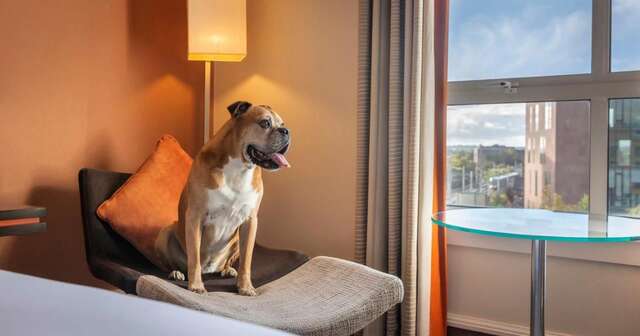 Отель Hilton Dublin Дублин-11